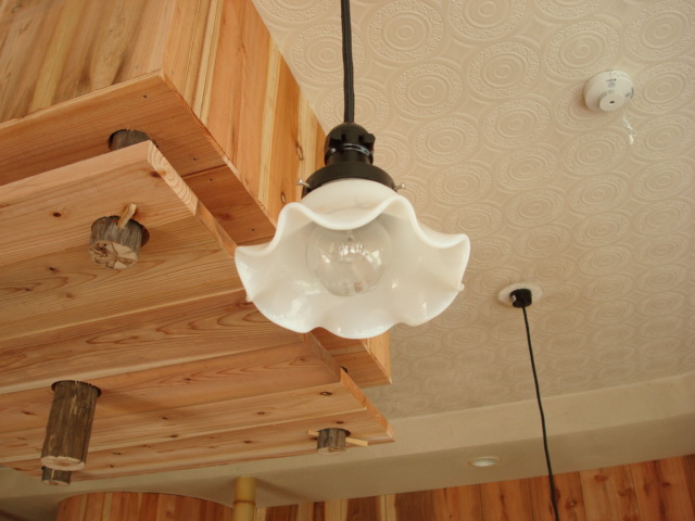 �݂艺����ꂽ�Ɩ��B���₩�Ȏ��Ԃ𓔂��܂��B