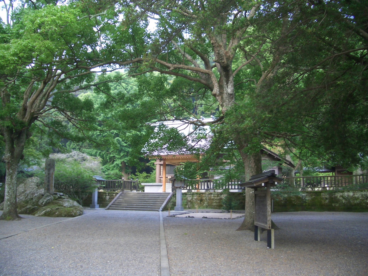 �����ĂT���B�X�̒��Ɉ��[�_�Ђ��E�E�E 