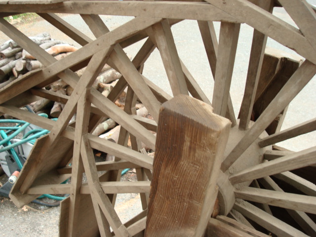 �{�݂̊O�ɂ��т���A�傫�Ȗ؂̃I�u�W�F�B���邭�����ĉ^�Ԃ̂́c���I�I